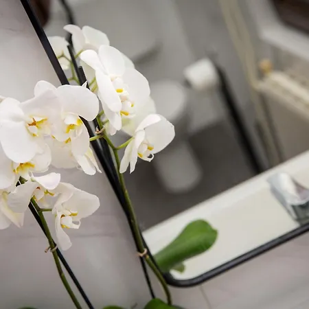 Apartment Luce Rovinj