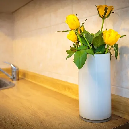 Apartment Luce Rovinj
